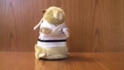 Kung Fu Hamster