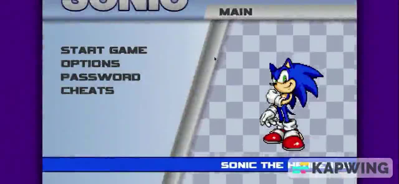 sonic game  cool