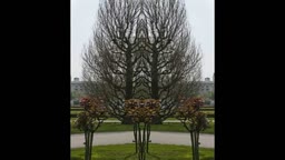 Spiegelwelt. -