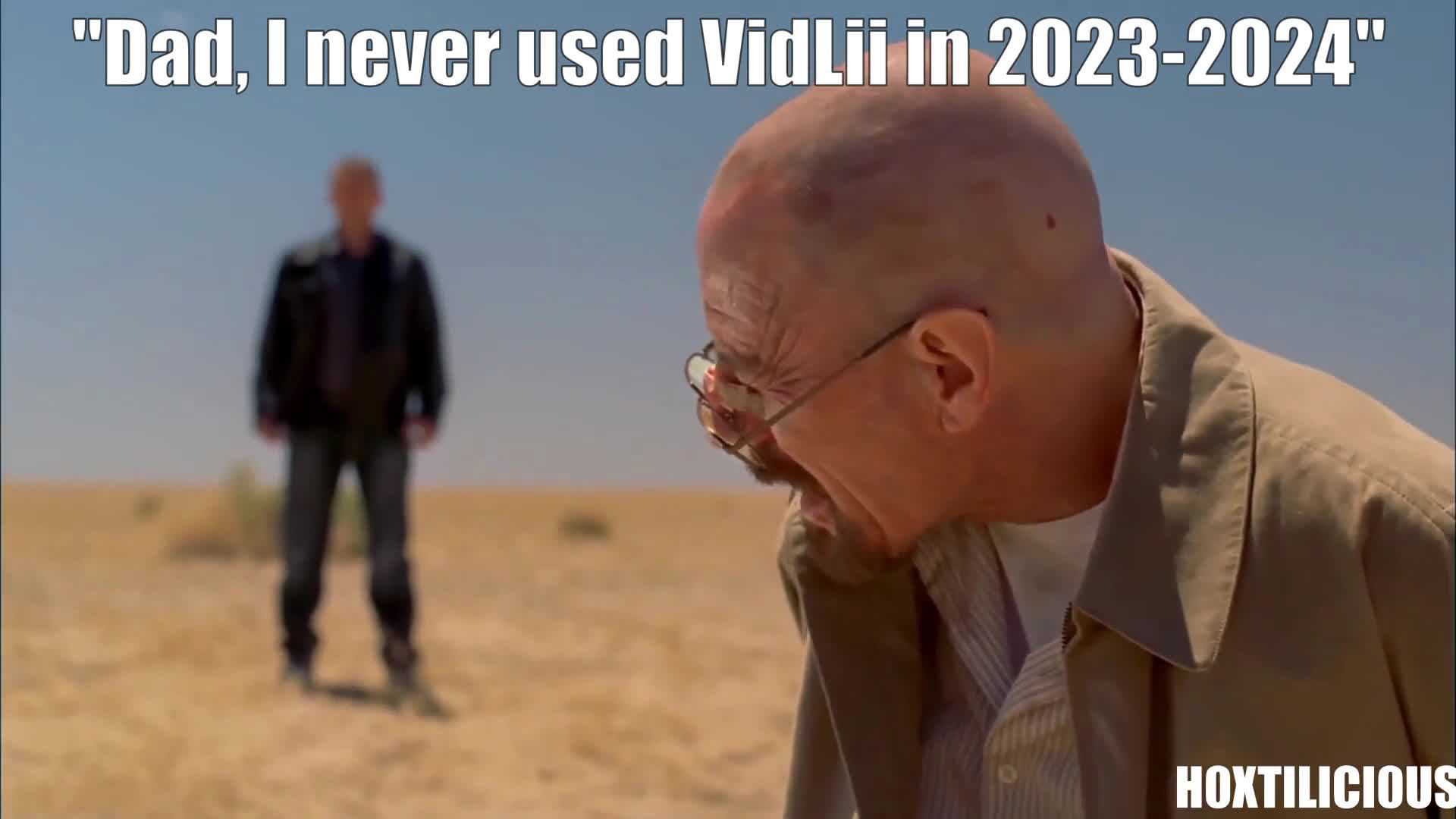 Peak VidLii era.