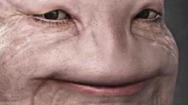 What The Fuck Even Is This Shit