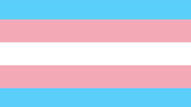 Top 3 Reasons Why I Dislike Transgenders