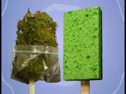 Spongebong Hemppants - Episode 3