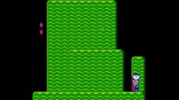 Super Mario Bros 2