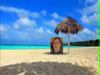Reason of Scarce's Disappearance (skit)