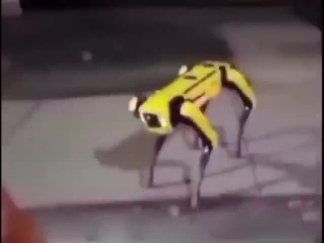 NIGGER