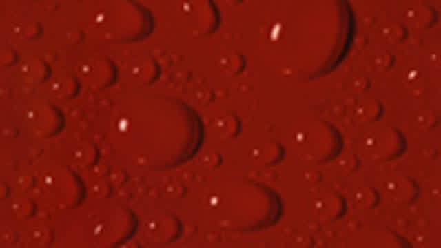 66