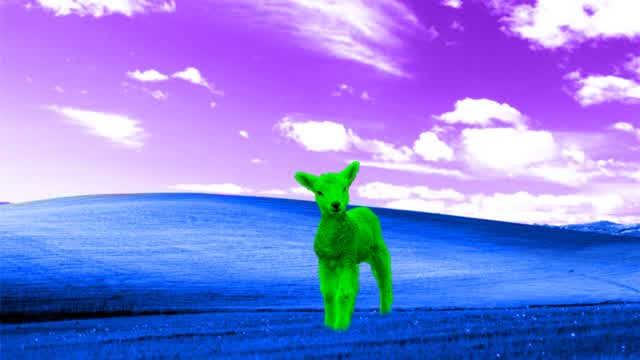Colofruitfull.wmv