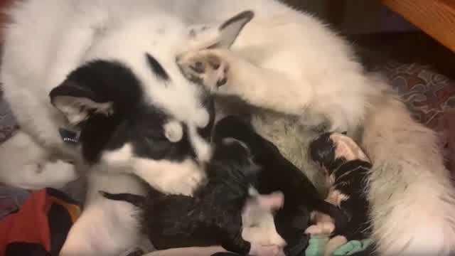 It's The Miracle Of Life