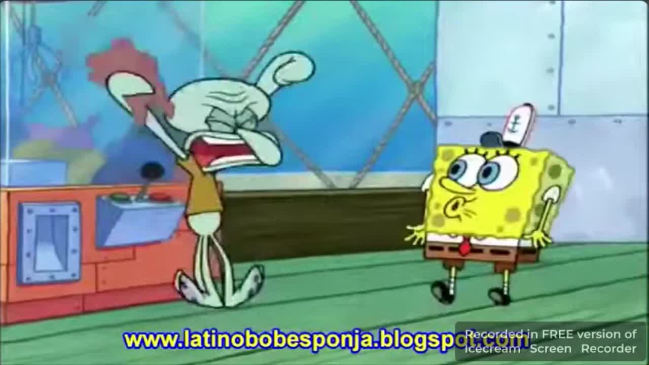 Vidlii Poop hispano:lol calamardo es patricio