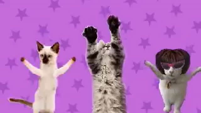 Dancing Cats - Go Kitty Go! .flv