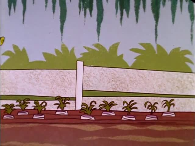 Wally Gator - Episode 8 Tantalizin' Turnips