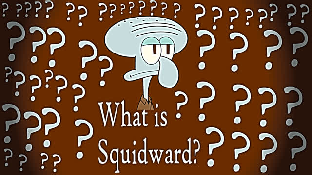 What is squidward ?