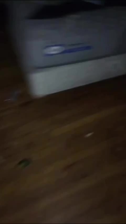 Thehateugivelittleinfantsfuckseverything