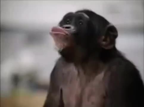 Mexicanos bailando el himno nacional