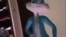 why this nigga bugs bunny in my room wildin