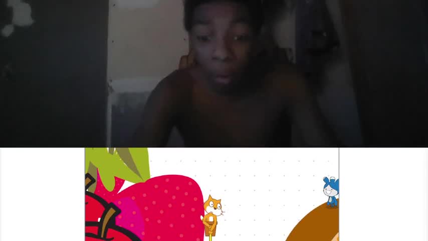what the cat do
