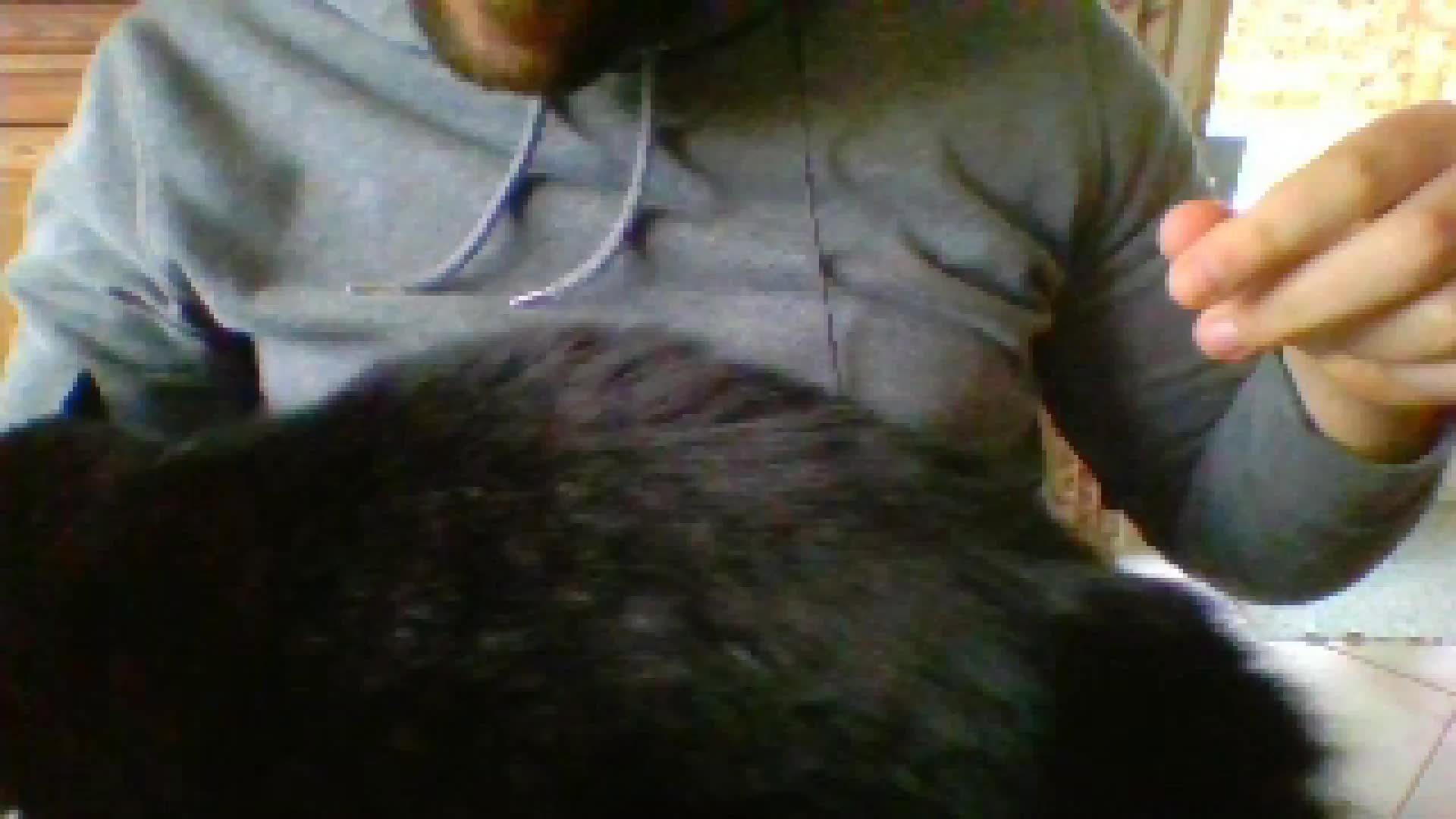 Me Petting My Cat Gently (fr/en)