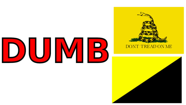 Why Libertarianism Is DUMB