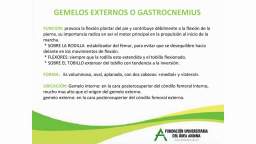 Miembros Inferiores