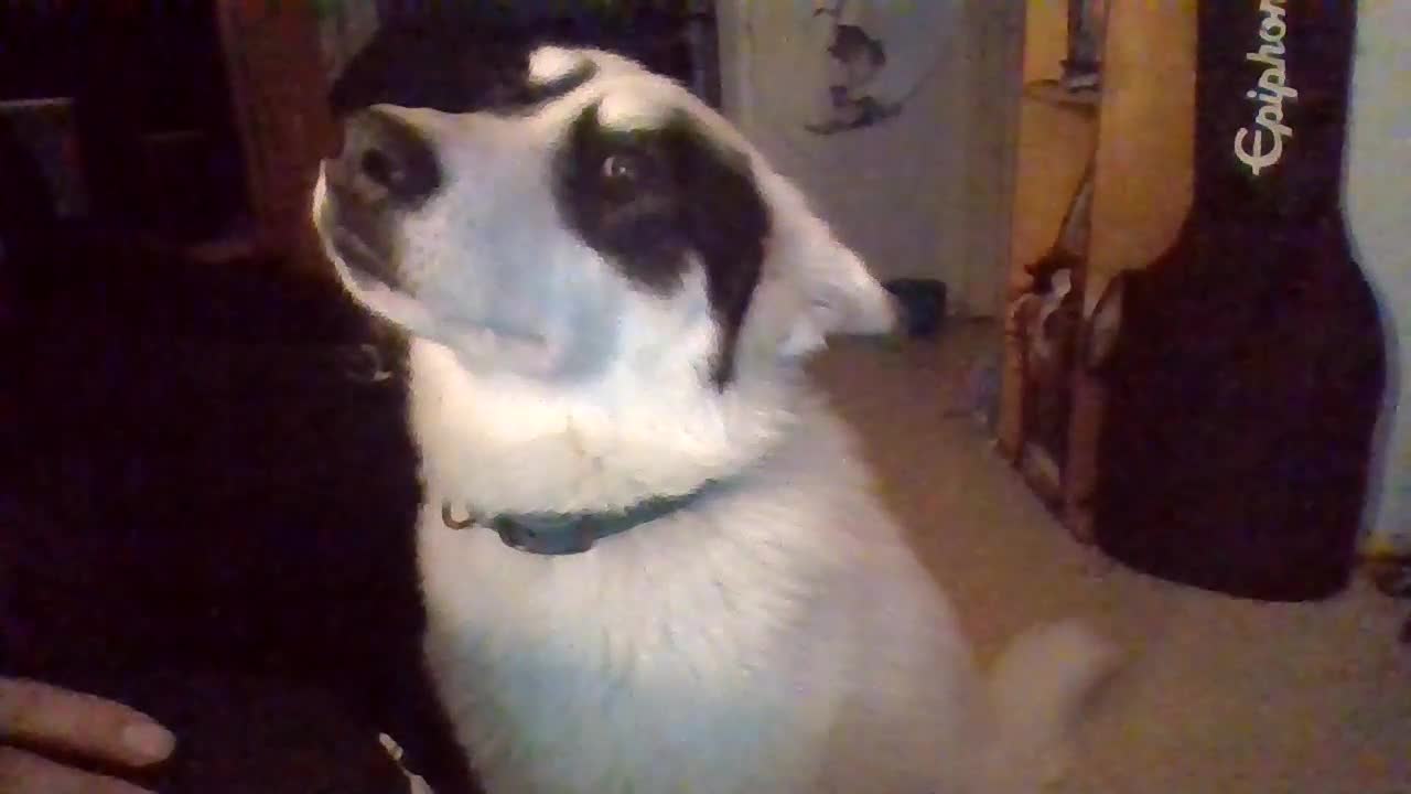 The Moment After She Damaged My PS2