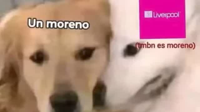 intro_ni fruta gracia