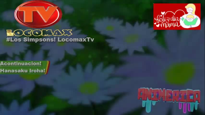 LocomaxTv Bolivia Anime Mayo 2025