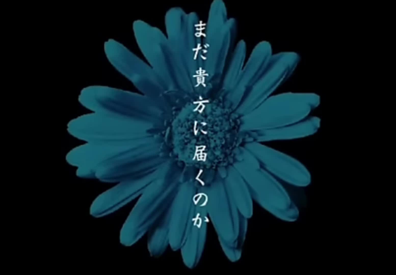 マチゲリータ,- “鵠(Cygnus)"