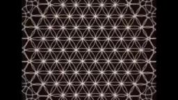 Flower of Life. -