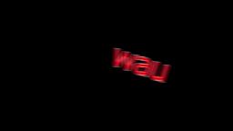 wau - THE MOST IMPORTANT VIDEO OF YEAR 2008