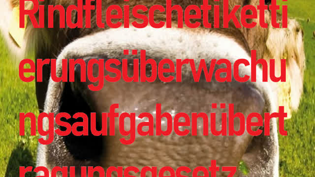 Psycho Teddy (German)
