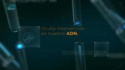 Fase dos - ¿un bloqueo de ADN - ¡entonces sálvese quien pueda