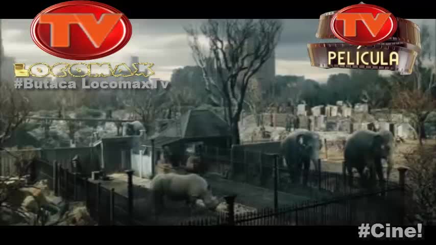 LocomaxTv Bolivia Anime Mayo 2025