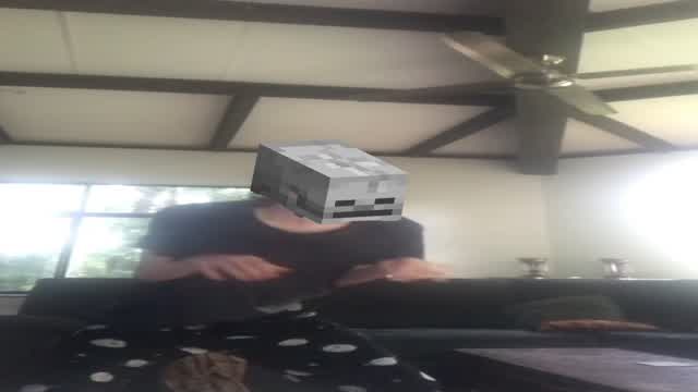 MK2007 = Minecraft Skeleton #minis