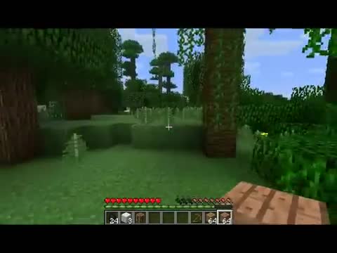 Burak Minecraft'da Bölüm 1 - Burak Oyunda 2