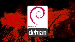 Lets install Debian because reasons